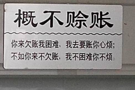 平阳如果欠债的人消失了怎么查找，专业讨债公司的找人方法